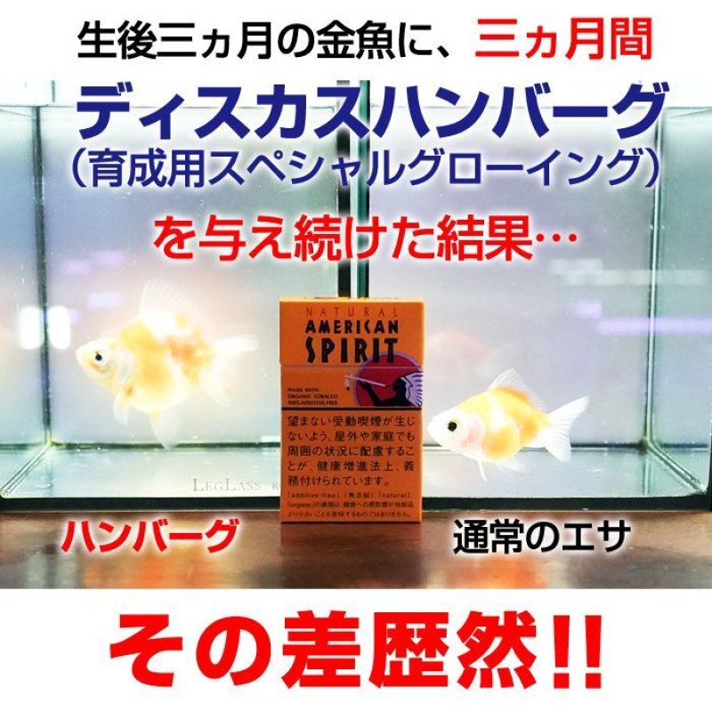 画像2: 乳酸菌入り 冷凍ハンバーグ 色揚用（黄） 200gパック 1枚